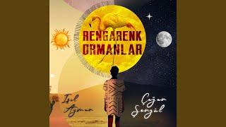 Rengarenk Ormanlar