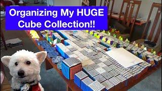 Organizing 380+ Rubik's Cubes!! (Cube Collection Setup)