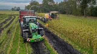 Maize 2024 / Mud / New Holland FR550 / Timmerman / Corn silage harvest