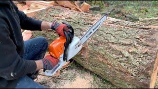 STIHL MS 251 WOOD BOSS vs 25" log