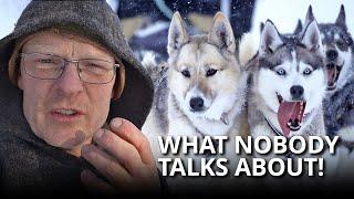 Sustainable Dog Sledding Adventures | How We Work with Our Sled Dogs