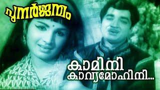 Kaamini Kavya... | Malayalam Old Classic Movie | Punarjanmam | Movie Song