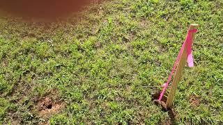 Surveying the property lines