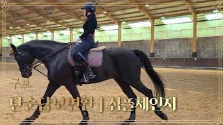 [승마] 심플체인지 | 단순답보변환 | 구보 | DK Horse | 기승일기 | 이강진 코치 | W홀스랜드 | 마장마술 | Horse Riding | Vlog