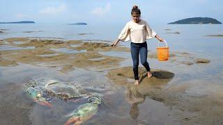 Catch And Cook Sea Crab At the Beach - Crab Cooking on Sand