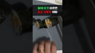 칼에 이것 바르면 살균 식중독 예방 #건강 #건강식 #건강식단 #건강정보 #건강관리 #중년건강관리 #식중독
