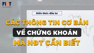 Chứng khoán dành cho F0: Các thông tin cơ bản về chứng khoán mà NĐT cần biết