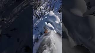 Экстремальный спуск #shorts