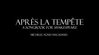 Après La Tempête - Michelle Agnes Magalhaes