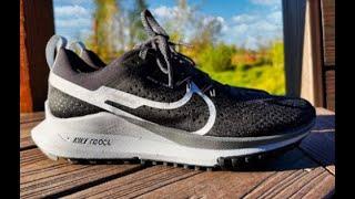 Nike Pegasus Trail 4 Review, first hike, thoughts, are they worth $160?