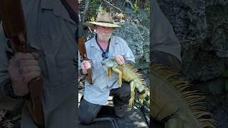 Iguana Hunt in south Florida and Why? With Dave Canterbury