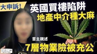 【英國買樓陷阱】地產中介種大麻🪴7層物業險被充公