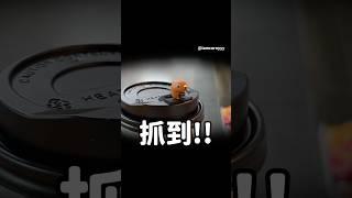 #水豚君 出現在 #萊爾富️ !!杯塞太可愛 #卡皮巴拉