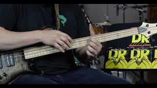 DR Strings DDT Bass Strings Demo