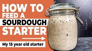 How I Feed My Sourdough Starter | How to Maintain a Sourdough Starter