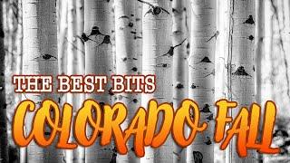 The Best Bits: Colorado Fall Colors & Photography