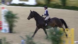 Video of BRAVETTO ridden by SOPHIE BEGIN from ShowNet!