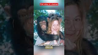 Story Of Charla Nash and Chimp Traviz#scary#scary #horror #spooky #terrifying #creepy