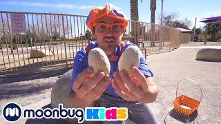 Blippi Learns About Dinosaur Eggs | @Blippi | Moonbug Literacy