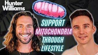 Mitochondria: Lifestyle Secrets To More Energy!