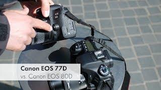 Canon EOS 77D vs. Canon EOS 80D | Duell in der gehobenen Einsteigerklasse [Deutsch]