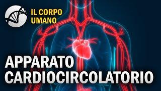 Apparato Cardiocircolatorio - Il Corpo Umano