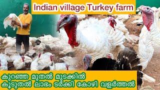 Turkey Birds For Meat | ടർക്കി കോഴി വളർത്തൽ #food #poultryfarming #poultry #turkey #egg #chicken