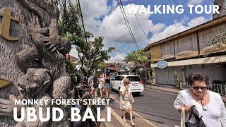 Morning Walk At Monkey Forest Street Ubud Bali | Walking Tour Bali Today Indonesia 2024 