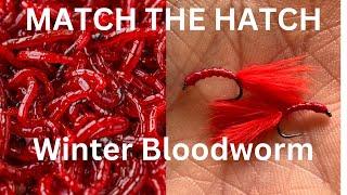 Winter Bloodworm - fish this on your point  #flytying #flyfishing #fishing #trout #fish