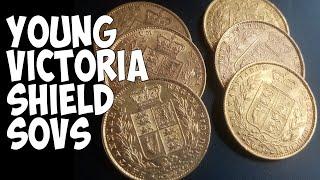 Shield Sovereigns - Young Victoria Shieldbacks