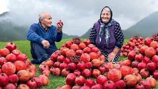 This Village Grows Tons of Pomegranates! Making Lots of Jam and Drinks!