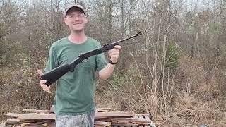 Rossi .22 long rifle