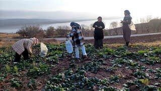 KÖYDE DOĞAL YAŞAM KOMŞU KÖYDE AKRABAMIZA MİSAFİR OLDUK