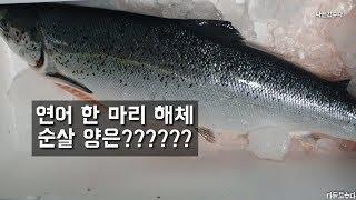 연어회뜨기_How to fillet a whole salmon_サケ 연어 한 마리 순살양은?