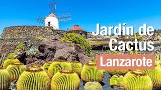 Jardín de cactus en Lanzarote - Islas Canarias