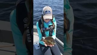 Love these big (lil) guys!  #ultralightfishing #bluegill #panfish #sunfish