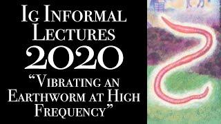 Vibrating an Earthworm at High Frequency: 2020 Ig Informal Lectures