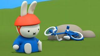 Miffy takes a tumble | Miffy | Full Episodes