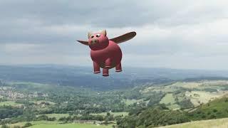 Soaring Pig Demo Flight