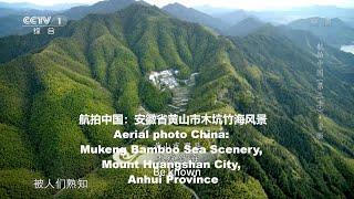 航拍中国：安徽省黄山市木坑竹海风景Aerial photo China: Mukeng Bamboo Sea Scenery, Mount Huangshan City, Anhui Province