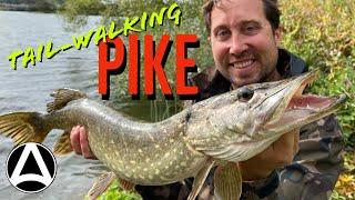 Episode 8. Lure Fishing Success (On a Big, Extreme Carp Lake)