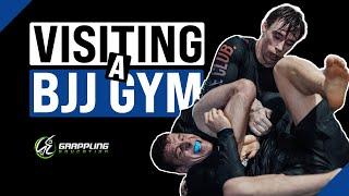 Visiting Another Gym as a BJJ White Belt | Grappling Education Sydney