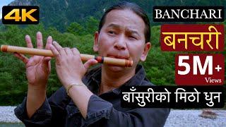 Banchari बनचरी | Flute Music | Flute Song | Bansuri Tabla Music | Basuriko Dhun | instrumental Music