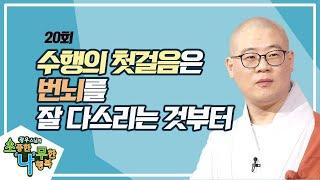 자비로 원한을 갚은 왕자와 공덕지은 원숭이와 코끼리 [BTN불교TV 광우스님의 소나무 20회]