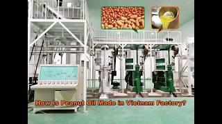 From Peanuts to Refined Oil - Peanut Oil Making Factory - Peanut Oil Manufacturing Process