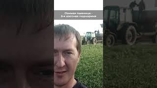Озимая пшеница - 3-я азотная подкормка