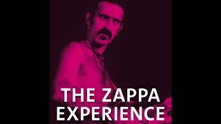 THE ZAPPA EXPERIENCE - SWR Symphony Orchestra plays Zappa - Freiburg November 24, 2023