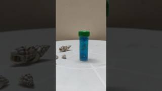 Ocean theme Miniature Bottle Art without resin #shorts #short #youtubeshorts #viral #Aruna'sMagazine