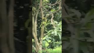 Đất tựa lưng đồi, view nhìn hồ Trị An. Vào kênh Danny Home của mình để xem video Full nhé