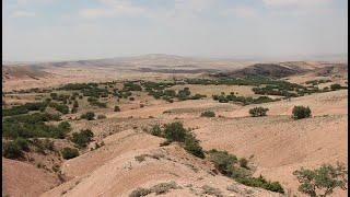 İÇ ANADOLU'NUN KALINTI ORMANLARI